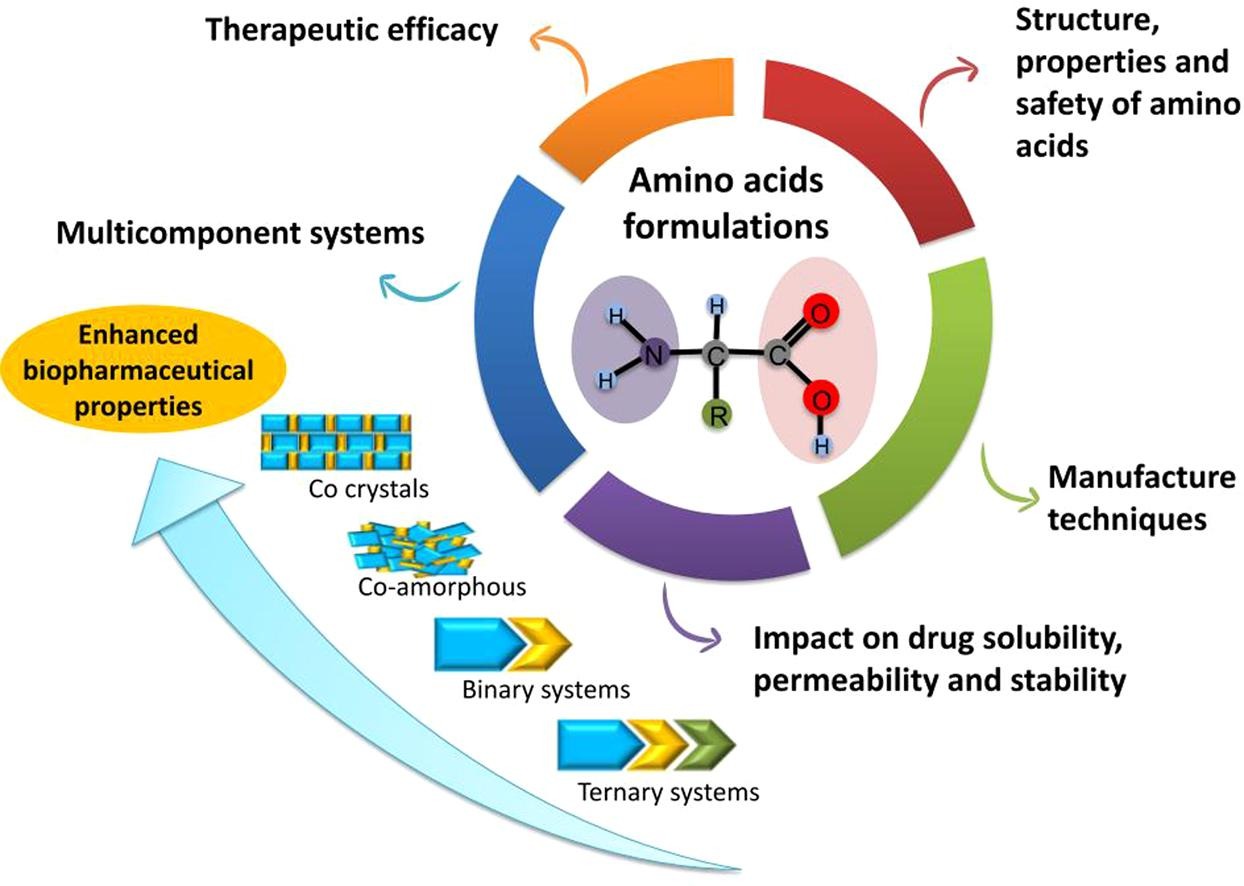 Amino acids and its pharmaceutical applications