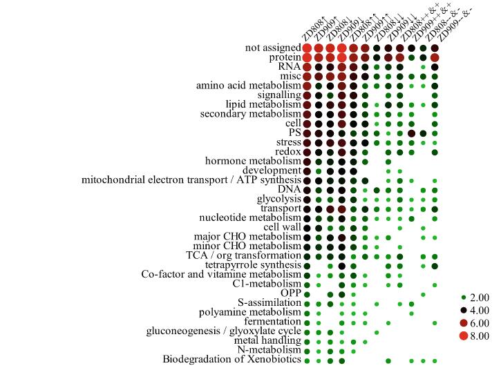 Pathway Enrichment Analysis of DAPs and NAPs