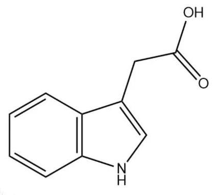 Figure 1: Chemical structure of indole-3-acetic acid (IAA)