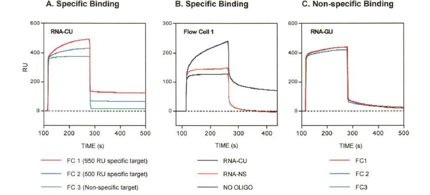 Biacore Data Analysis and Interpretation