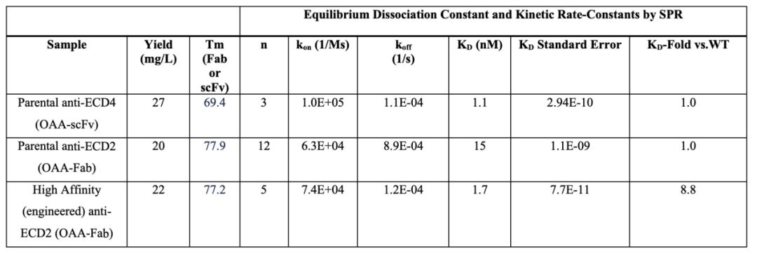 Table 1: Biacore Determination of Affinities for scFv, Fab, and OAA-Fab