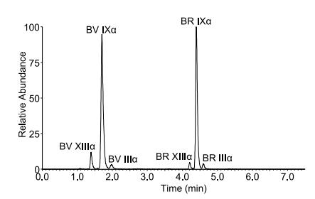 Separation of BV and BR (10 nM) along with their positional isomers found in commercially available standards.