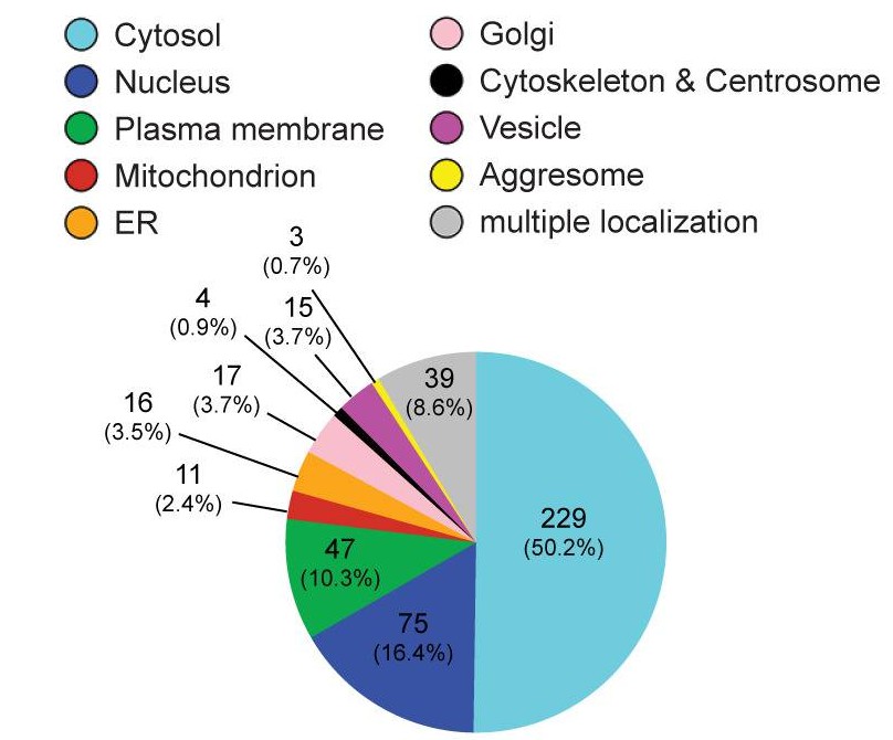 Figure 11 Subcellular Location