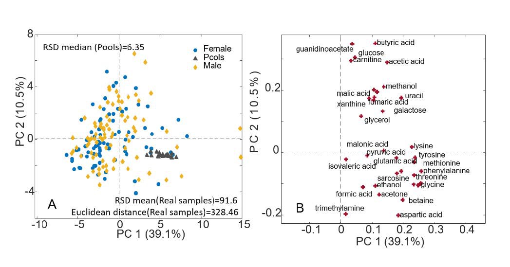 Figure 12 PCA