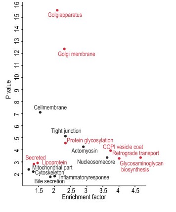 Figure 6 KEGG pathway-1