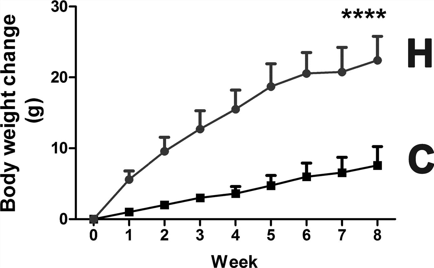 Body weight gain for mice fed HFD diet and control chow over 8 weeks.