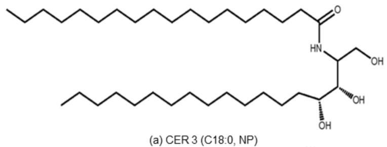 Ceramide 3 vs Ceramide AP: Understanding the Differences