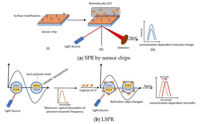 Choosing the Right Biacore Sensor Chips for Your SPR Analysis