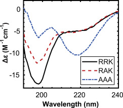 CD spectra showing secondary structure differences among RRK, RAK, and AAA peptides.