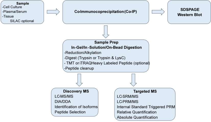 Co-immunoprecipitation/mass spectrometry (Co-IP/MS)