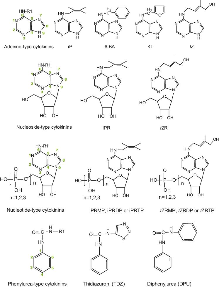 Jian Feng et al,. Hormone Metabolism and Signaling in Plants 2017