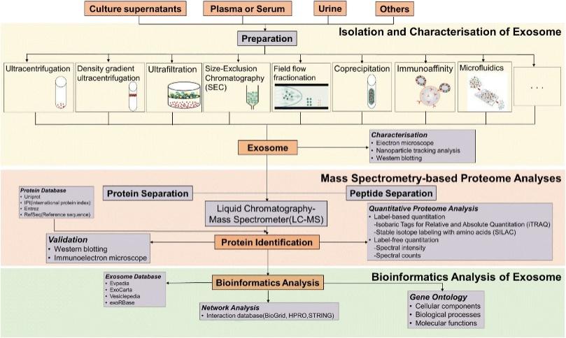 Figure 2. Overview of methods for exosome isolation and proteomic analysis