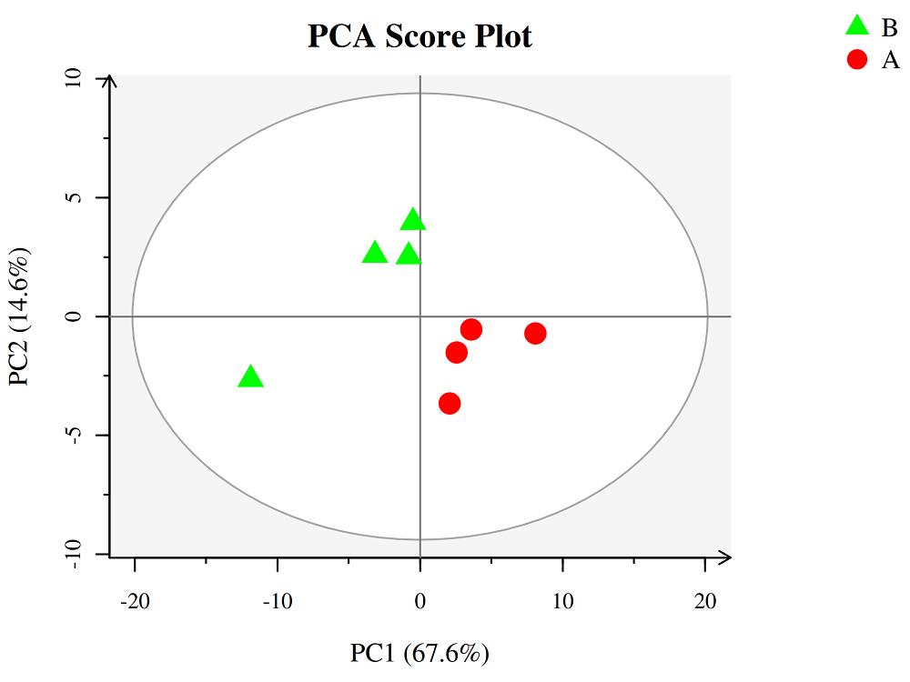 PCA Score Plot
