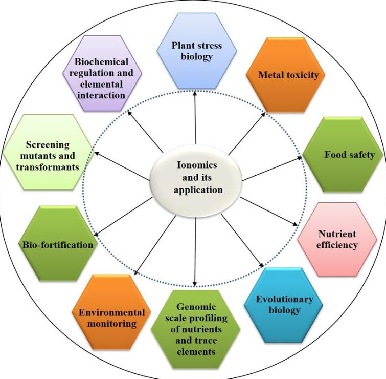 Sajad Ali et al,. Int. J. Mol. Sci. 2021