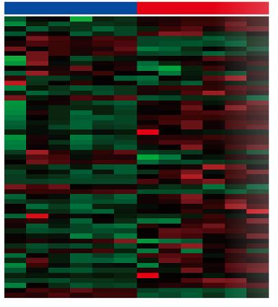 ICP-MS Ionomics Profiling Service