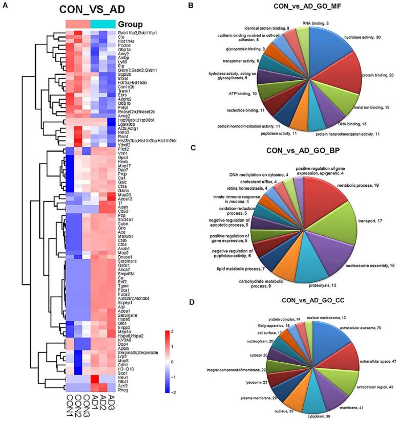 Identifying Urinary Exosomal Biomarkers for Early Alzheimers Detection