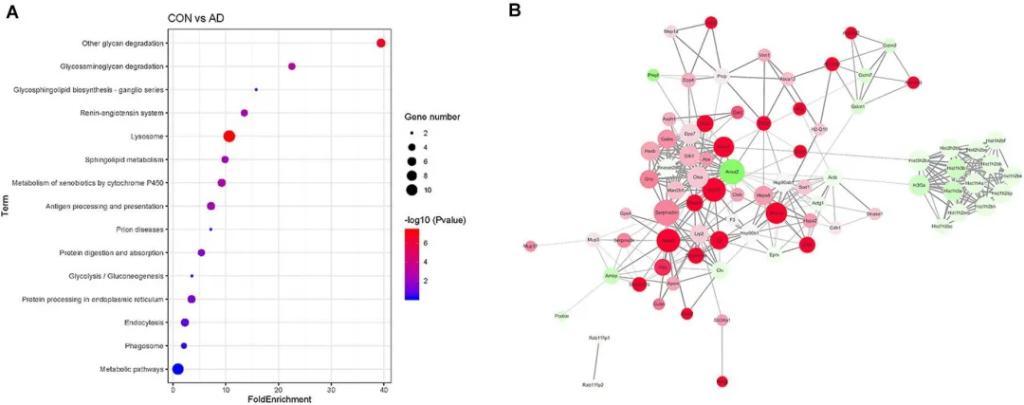 Identifying Urinary Exosomal Biomarkers for Early Alzheimers Detection