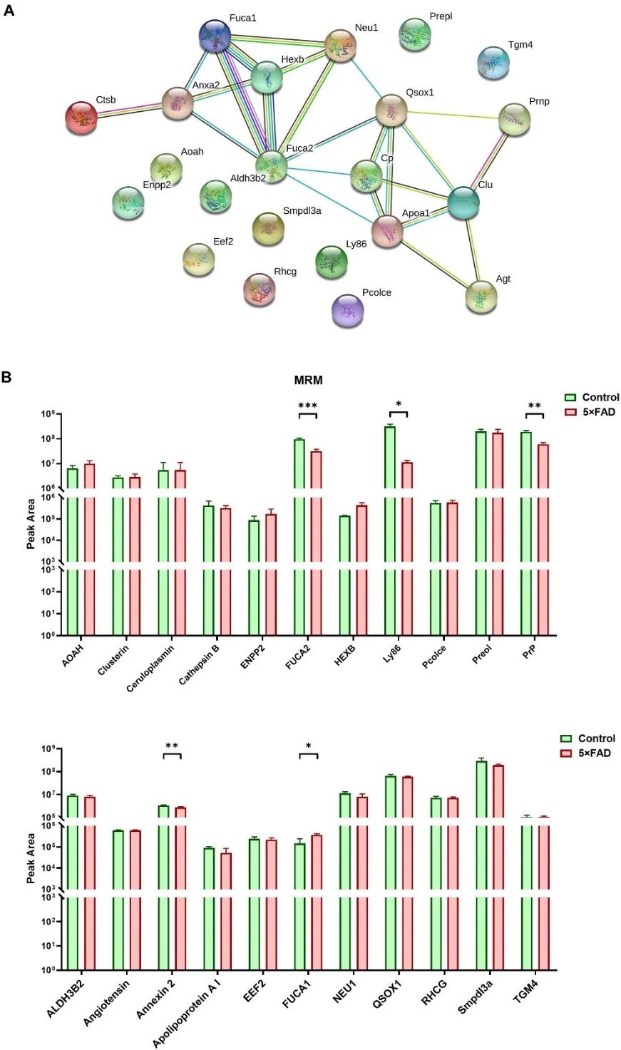 Identifying Urinary Exosomal Biomarkers for Early Alzheimers Detection