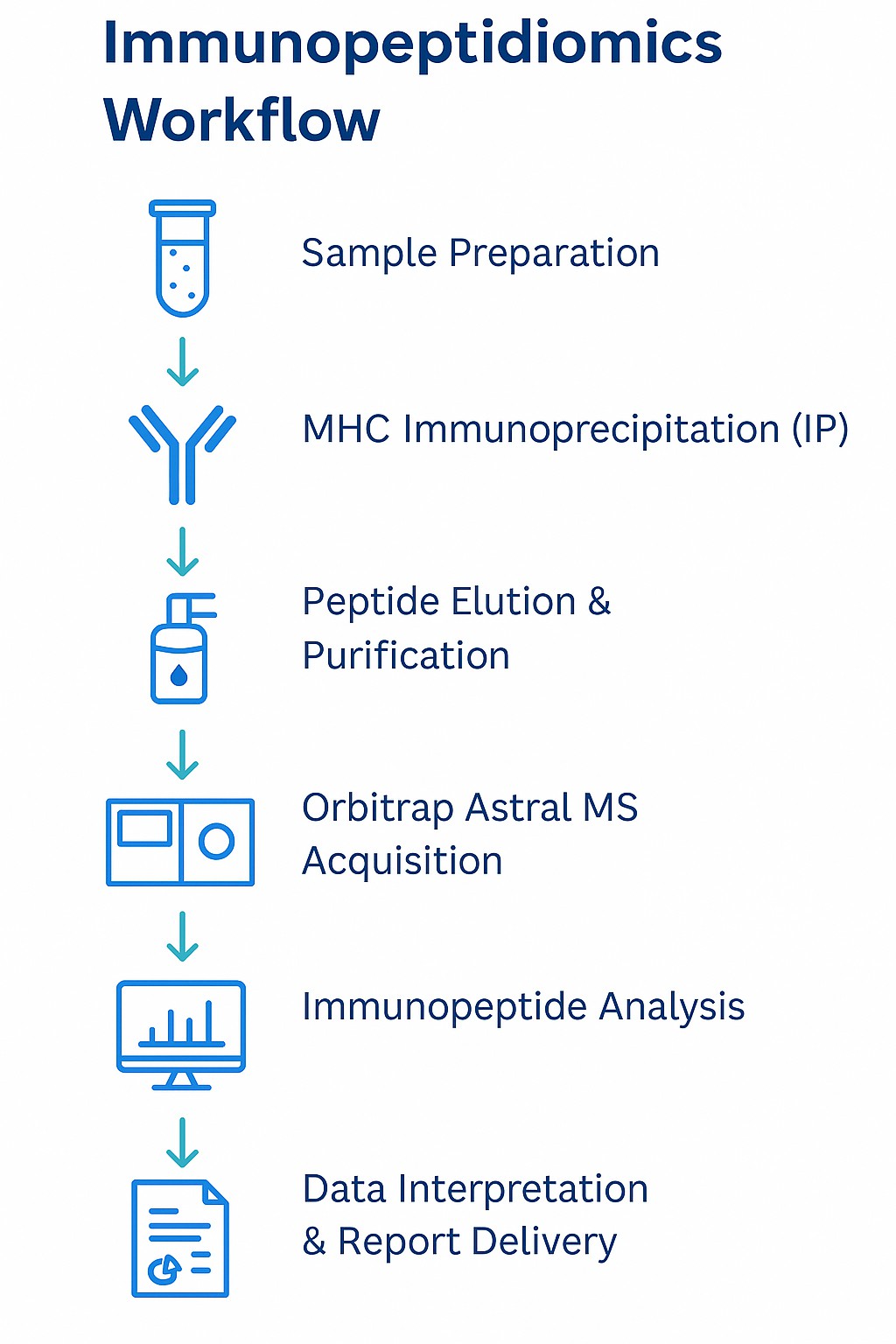 Immunopeptidomics Services workflow