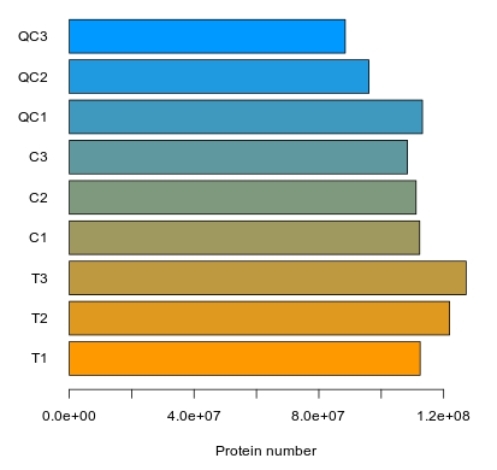 Bar chart showing total protein identification.