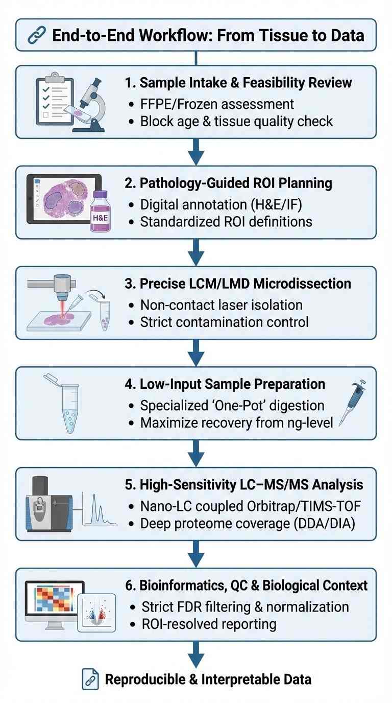End-to-end LCM spatial proteomics workflow from tissue sectioning to data reporting