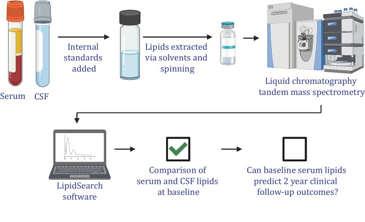 Simplified workflow of untargeted lipidomics using serum and CSF.