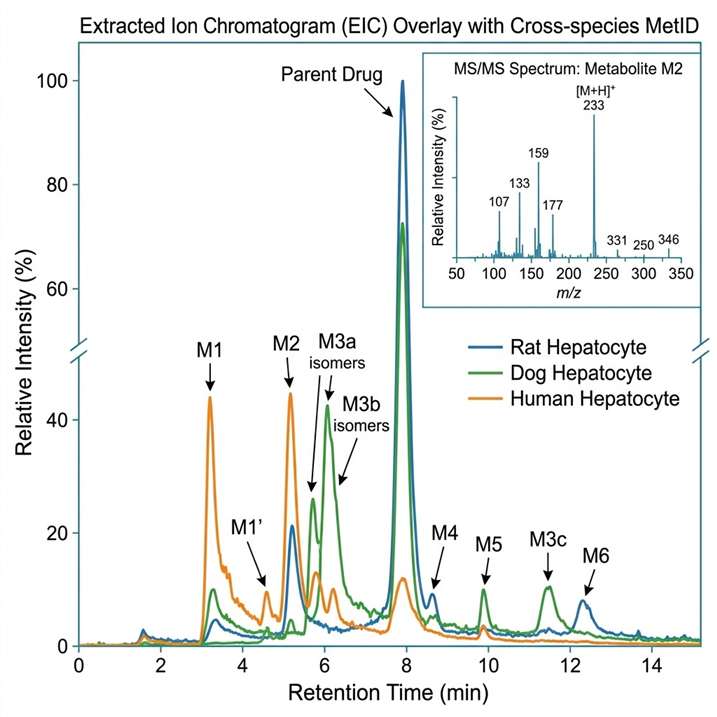 Representative extracted ion chromatogram (EIC) overlay from a cross-species MetID study showing parent drug peak alongside multiple metabolite peaks with retention time alignment and annotated MS/MS spectrum inset.