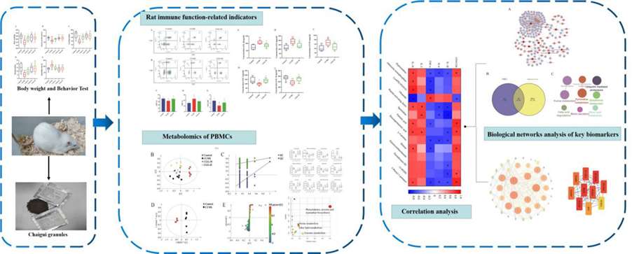 Metabolomics Based on Peripheral Blood Mononuclear Cells