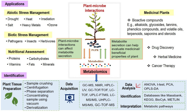 Plant metabolomics and hormonomics to study abiotic stress tolerance