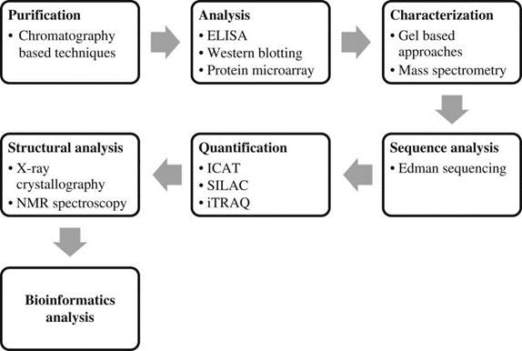 Methods, Techniques, Strategies, and Applications in Proteomics