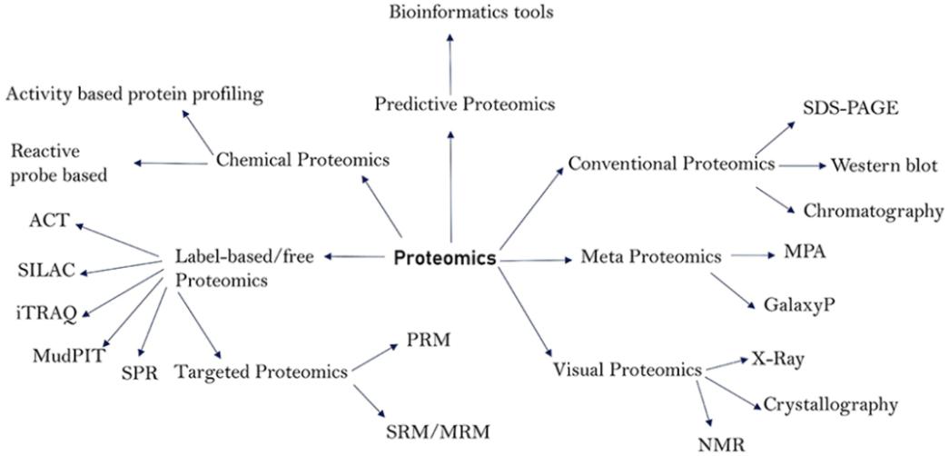 Figure 2. Overview of major proteomics techniques and their specific applications.