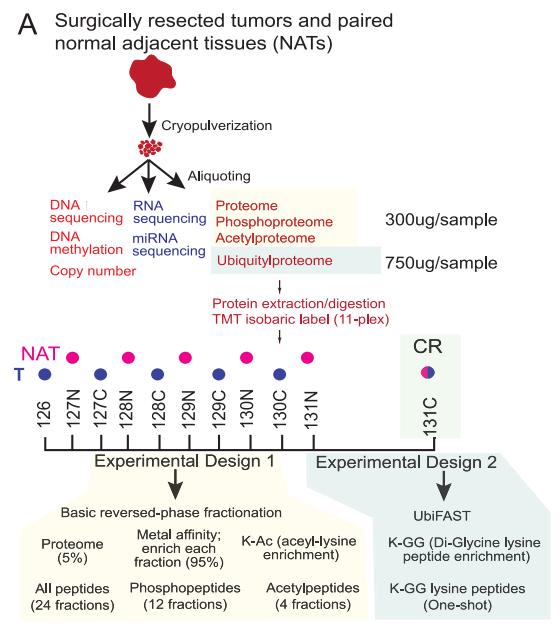 Multi-omics technology routes