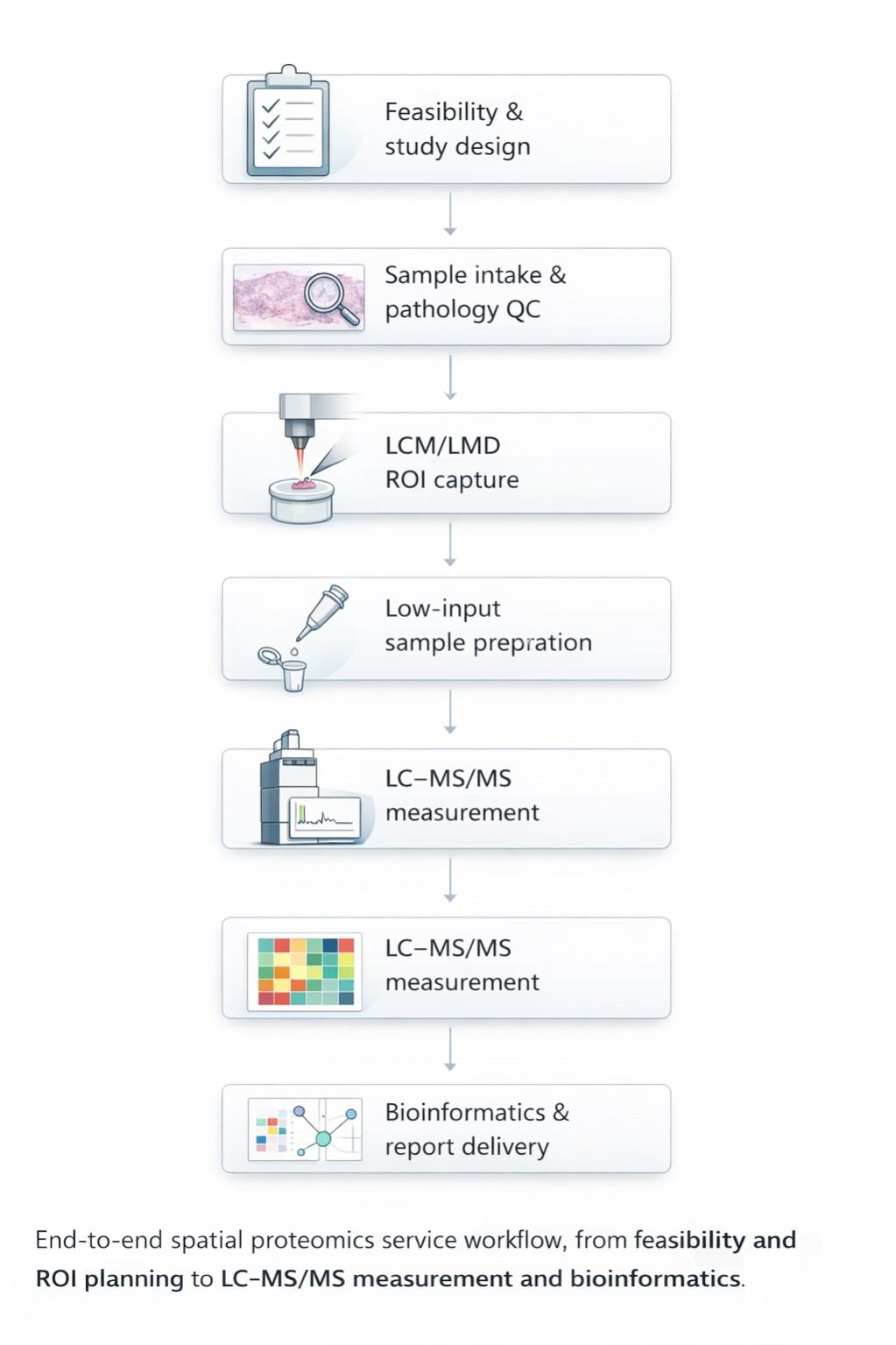 End-to-end spatial proteomics service workflow steps from feasibility to bioinformatics
