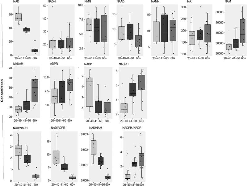 Boxplots of NAD+ metabolite abundances across age groups