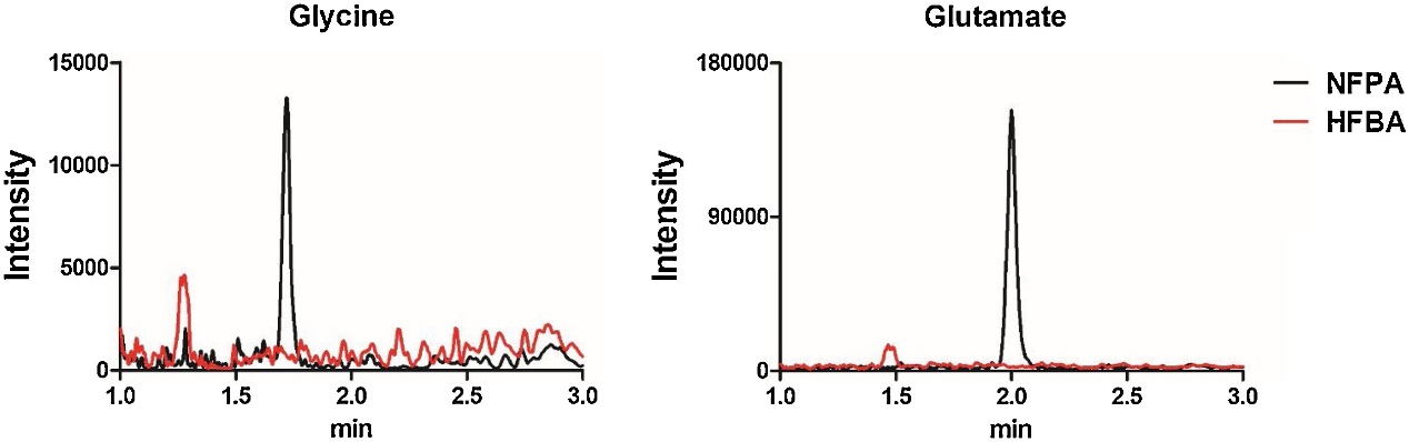 Overlapped chromatograms of Glycine (left, 76 m/z  → 30 m/z) and Glutamate (right, 148 m/z → 84 m/z) obtained with 0.1% HFBA (in red) and 5 mM NFPA (in black) as ion pairing reagents