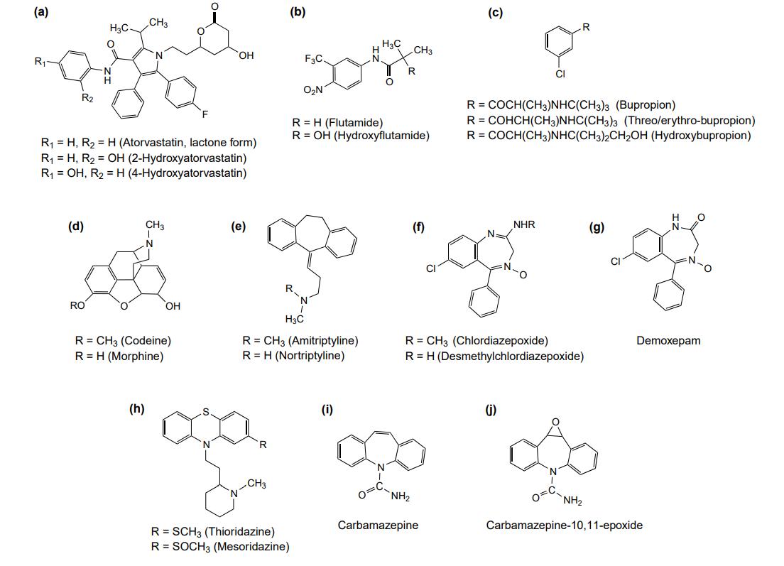 Overview of Active Metabolites