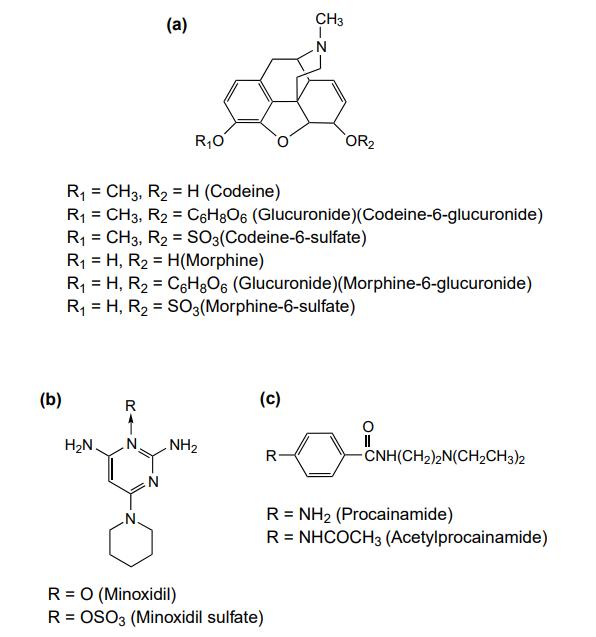 Examples of metabolites obtained through phase II conjugative biotransformation reactions leading to pharmacological activation.