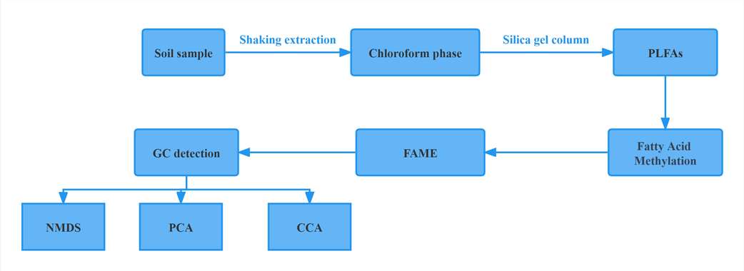 PLFAs Analysis Service Workflow