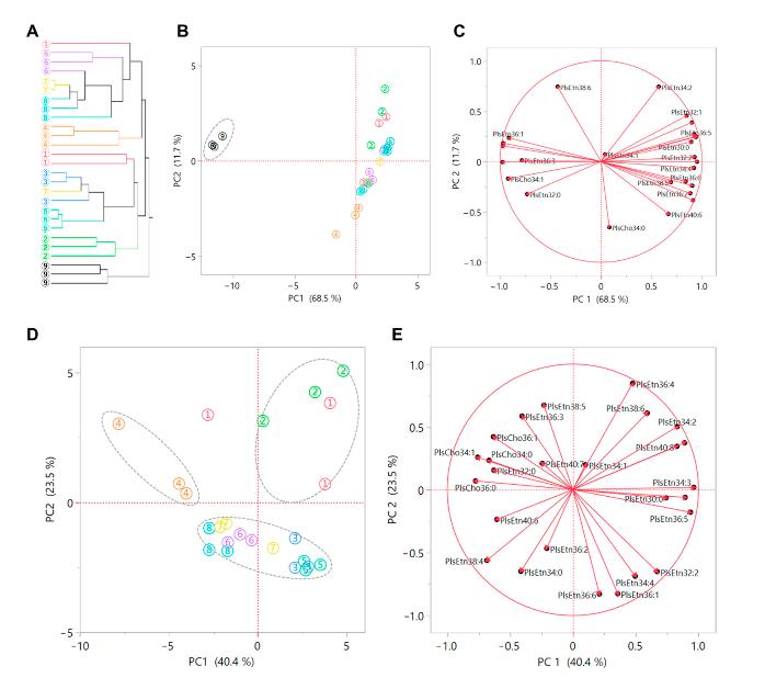 Multivariate analysis of plasmalogen-containing dietary phospholipid samples.