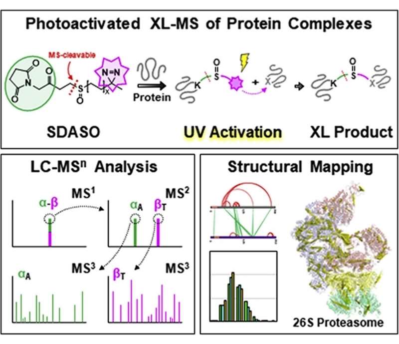 Photoactivated cross-linking mass spectrometry of protein complexes