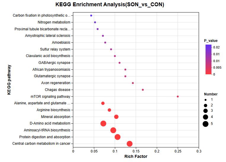 Bar chart displaying enriched KEGG pathways based on input data with significance levels.