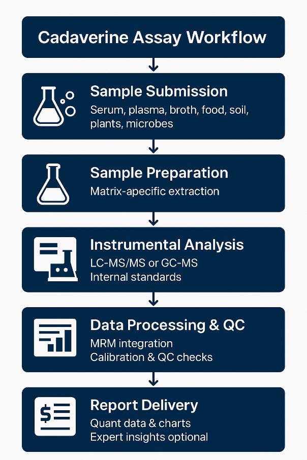 Cadaverine Analysis Workflow