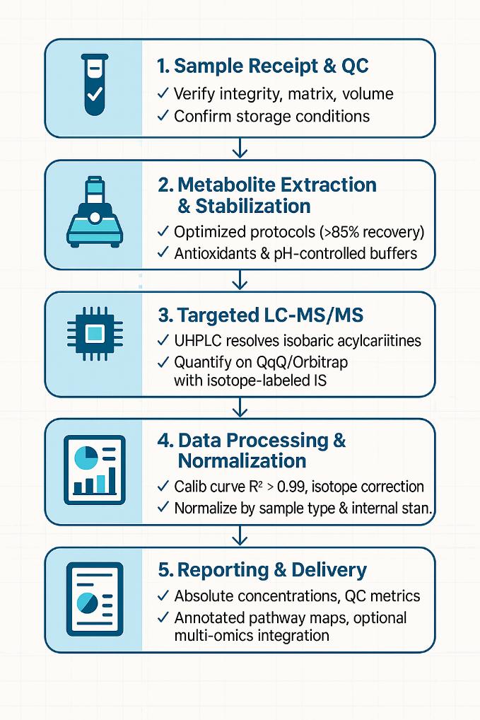 Carnitine Analysis Workflow