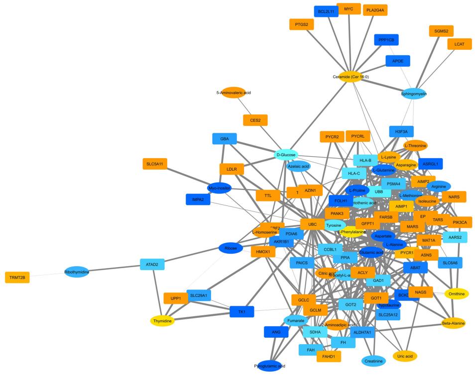 A network diagram illustrating the relationships between identified metabolites and lipids, with nodes representing individual molecules and edges indicating interactions or associations among them.