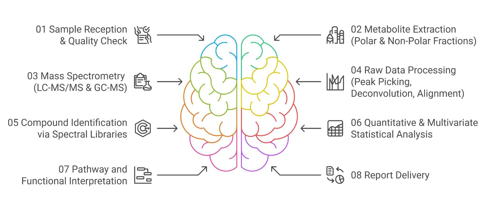 Cerebrospinal Fluid Untargeted Metabolomics Analysis Process