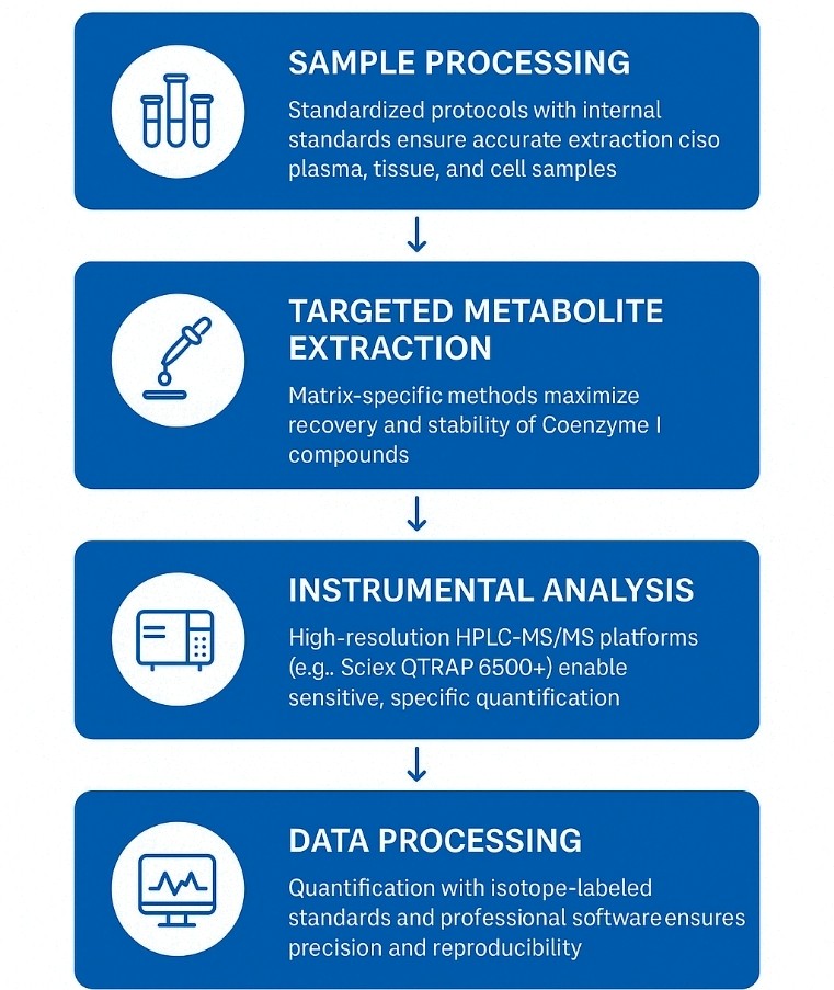 Coenzyme I Analysis Workflow