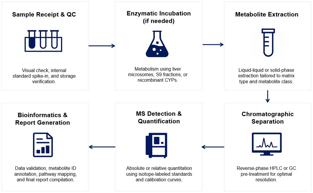 CYP450 Metabolites Analysis Workflow