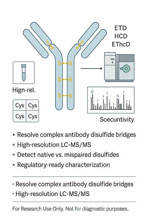 ature-style schematic of antibody disulfide bond analysis by LC-MS/MS – Y-shaped antibody with disulfide bridges, Orbitrap mass spectrometer, fragmentation modes ETD HCD EThcD, spectrum inset, and cysteine connectivity table