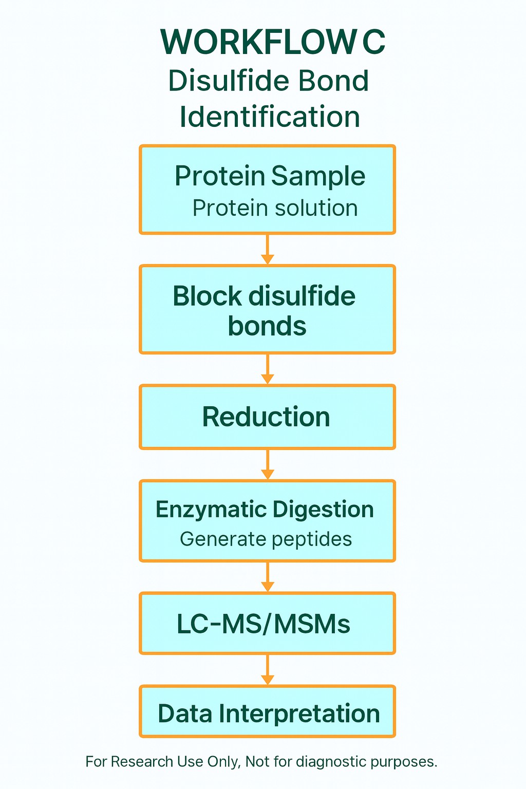 Workflow C combined strategy for disulfide bond analysis by mass spectrometry – vertical flowchart integrating non-reducing digestion, differential alkylation, LC-MS/MS, and data interpretation