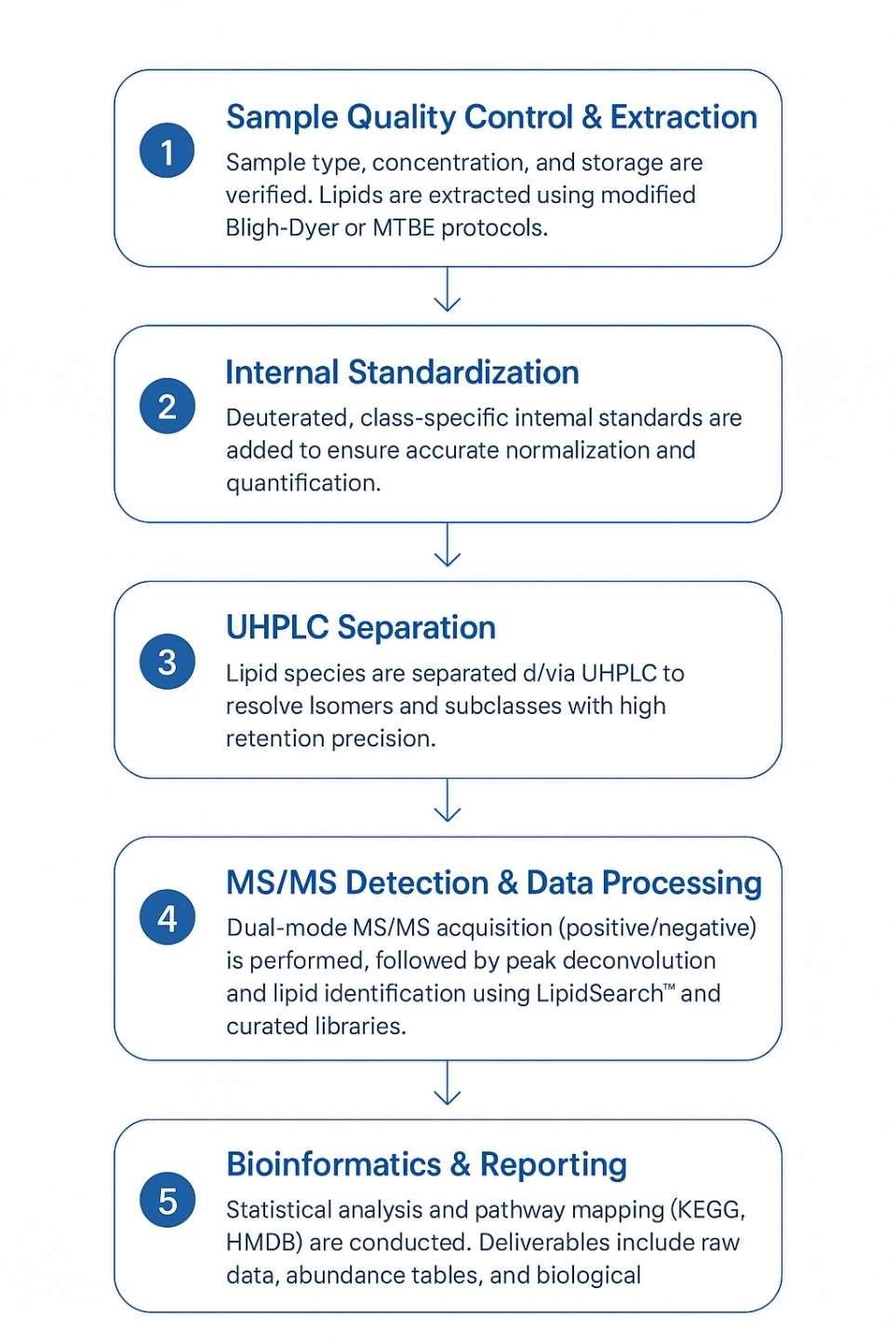 Glycerophospholipids Analysis Workflow